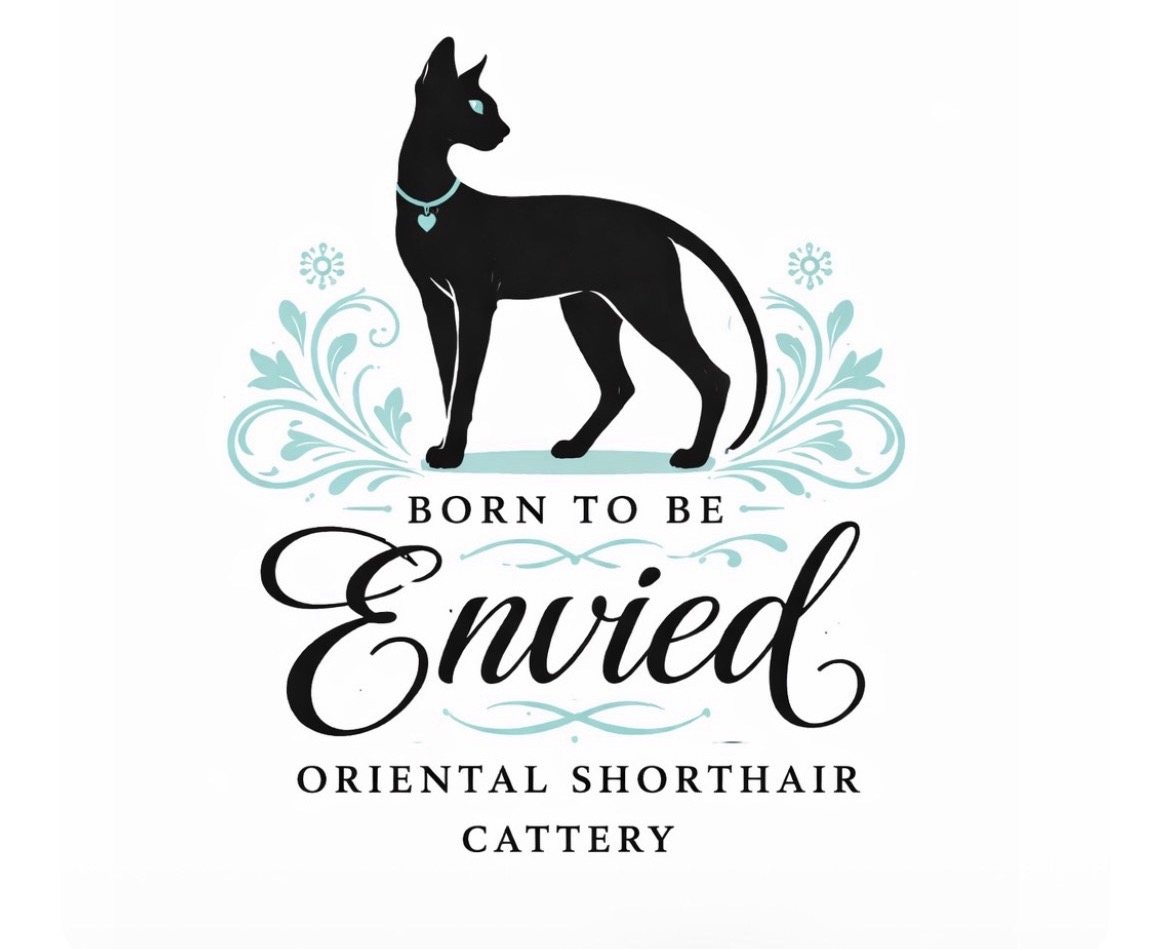 Born to be Envied