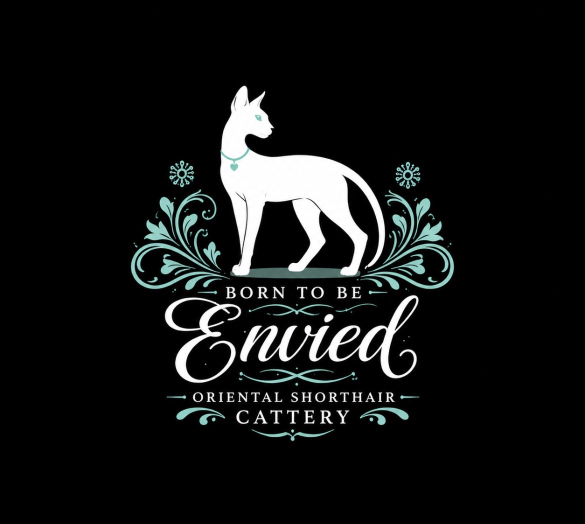 Born to be Envied